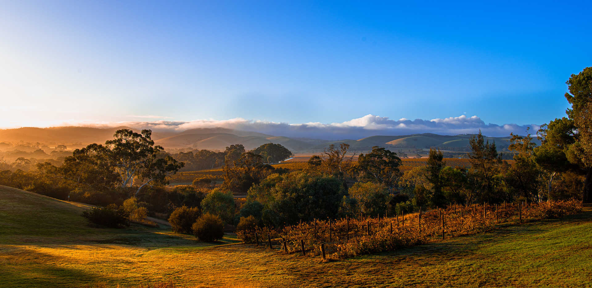 How big is the Barossa Valley?